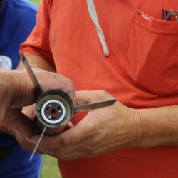 img_2166 ros ponorena do trupu